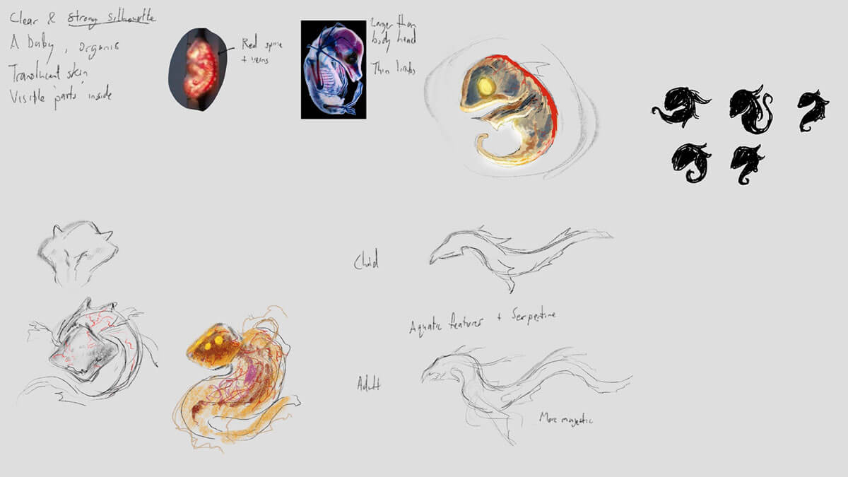 Concept sketches of an embryo for an alien creature