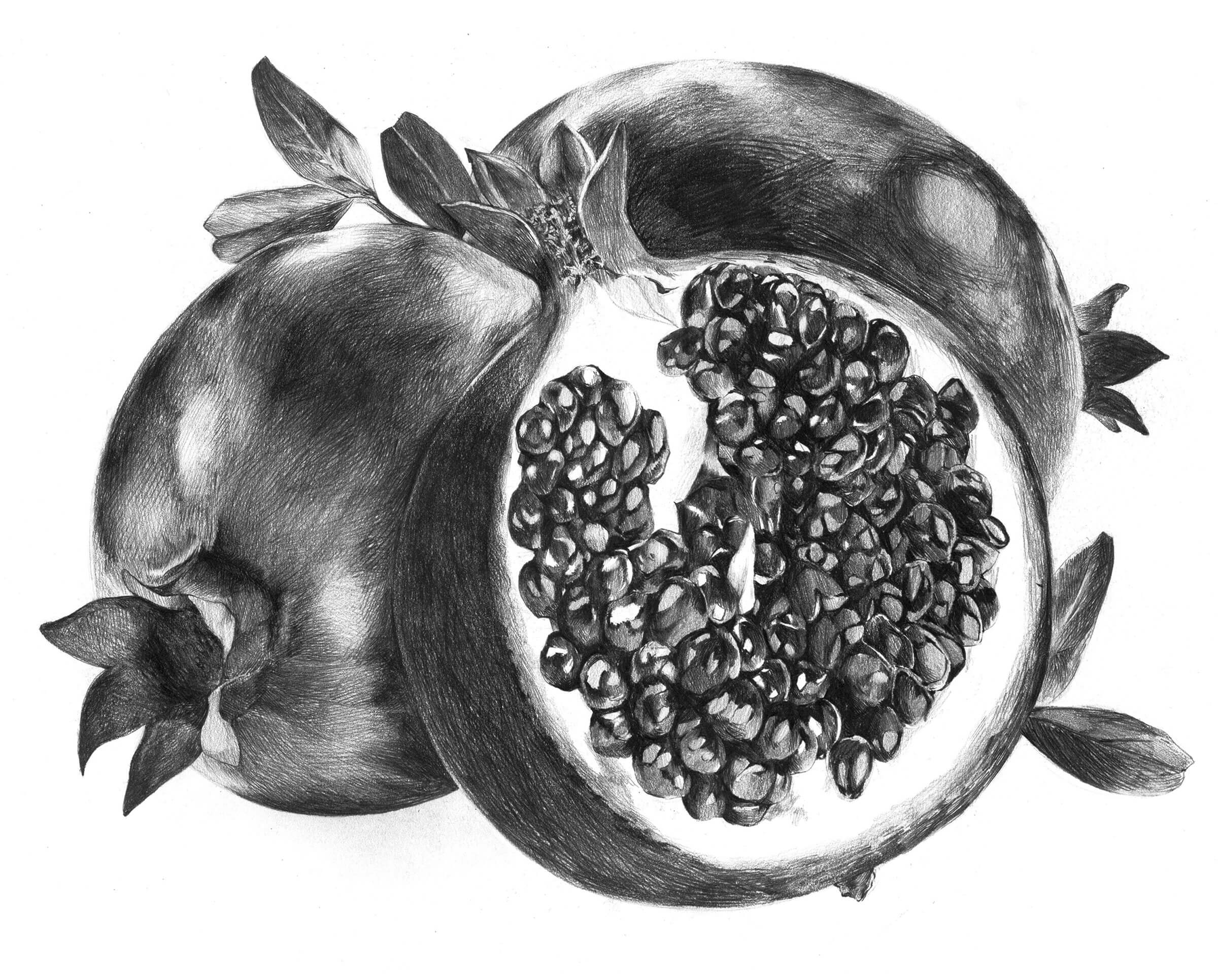 Black-and-white sketch of pomegranates, one of which is sliced in half.