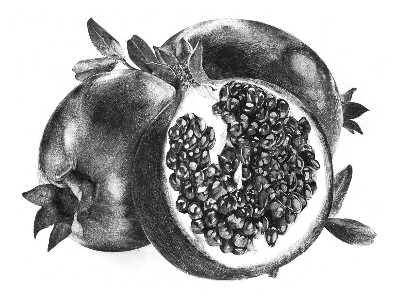 Black-and-white sketch of pomegranates, one of which is sliced in half.