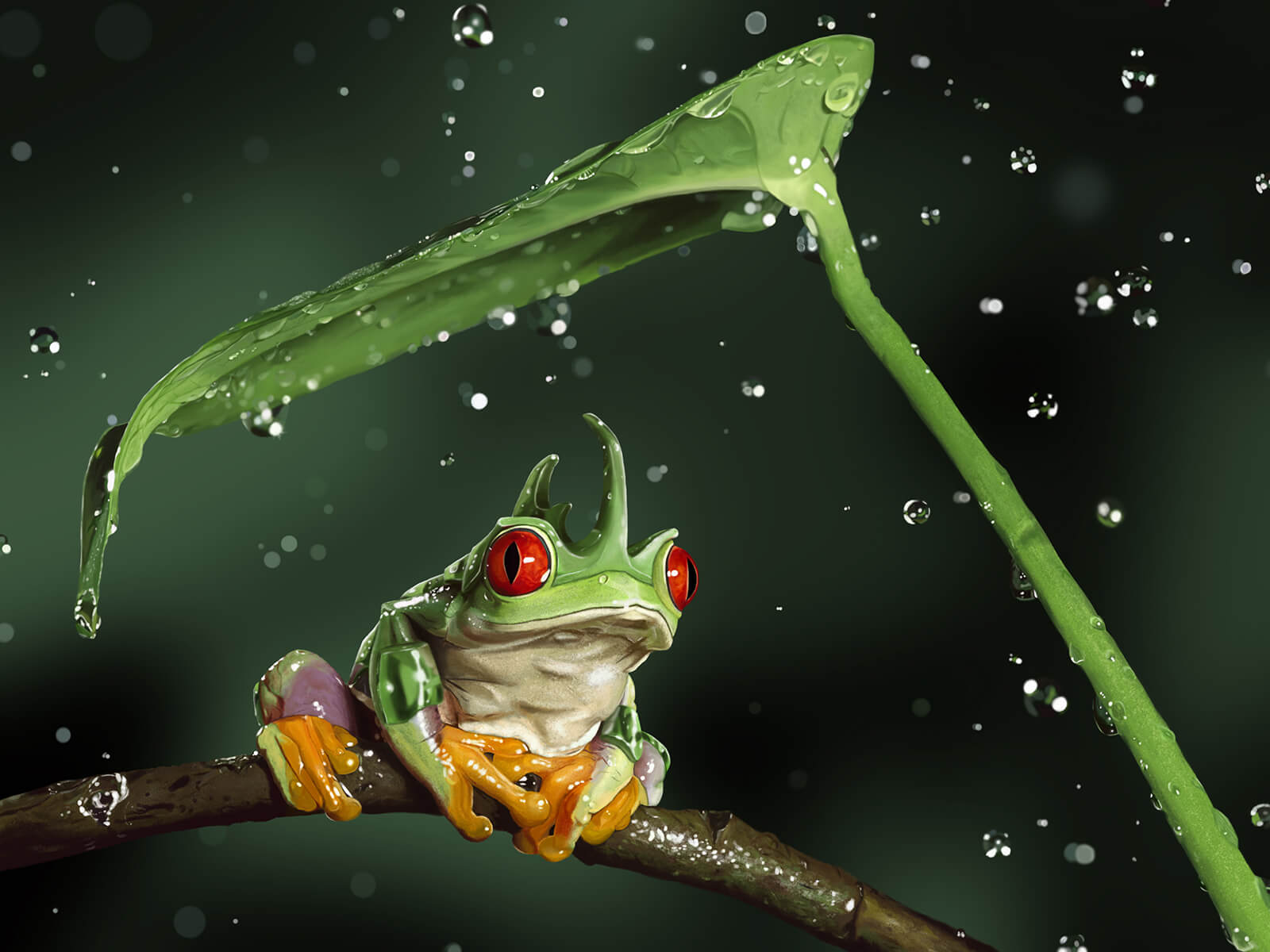 A red-eyed, green-horned tropical frog sits on a branch as a leaf shields it from relatively massive falling raindrops.