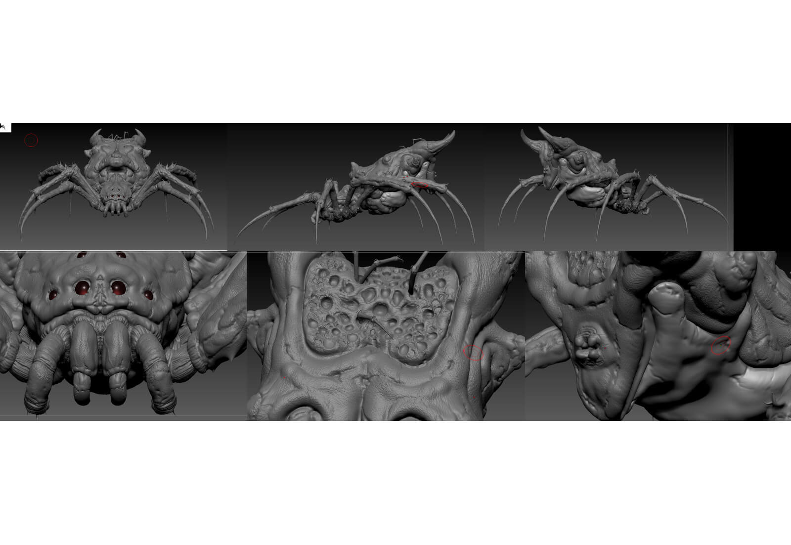 Multiple angles of 3D spider model