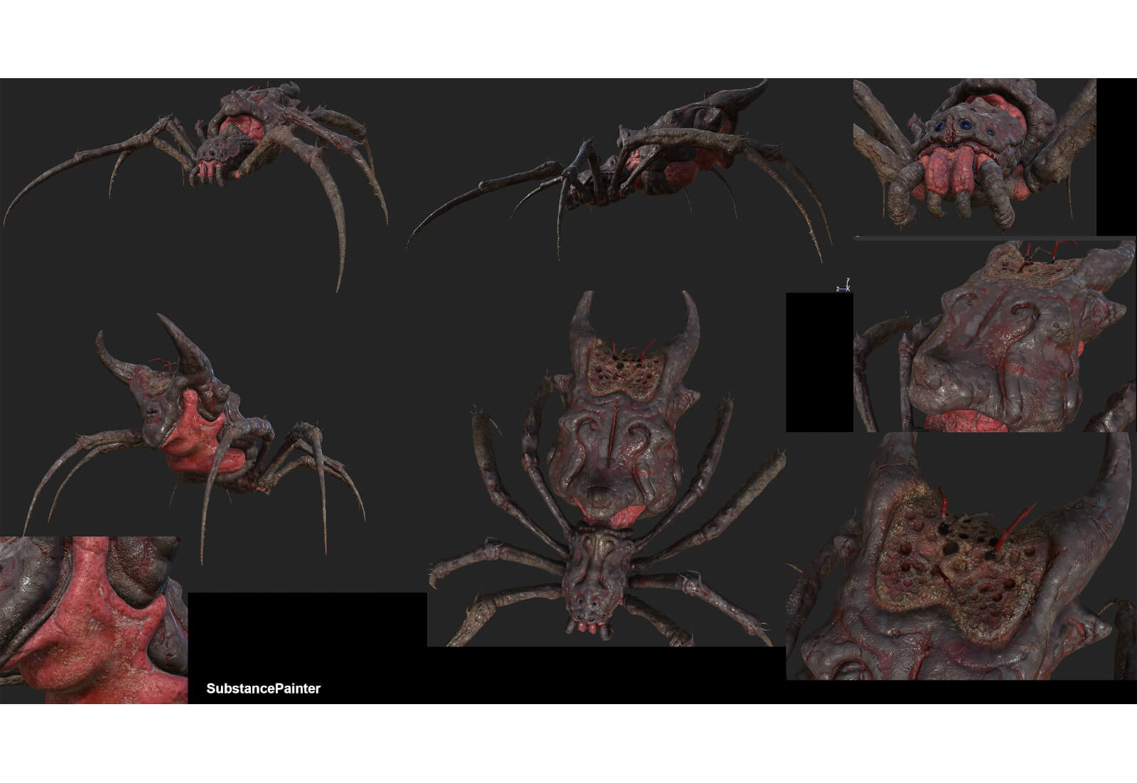 Multiple angles of 3D spider model with painted textures